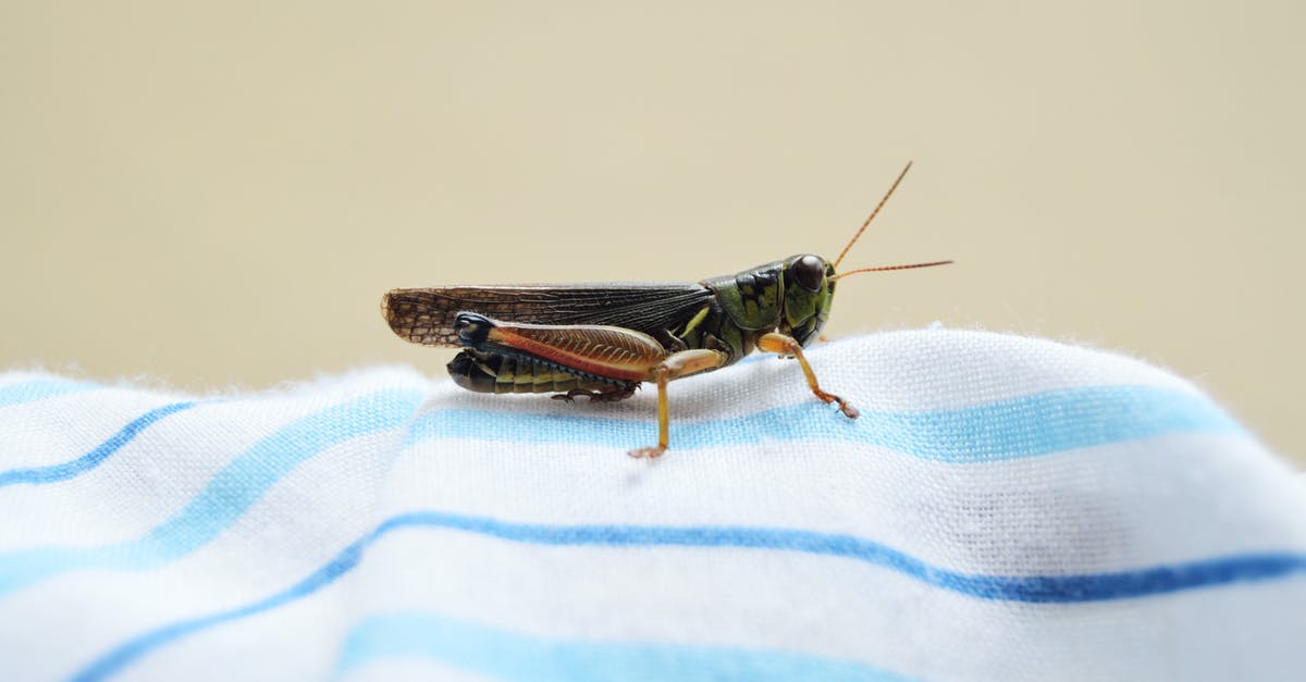 Als je dit in je tuin ziet, staan ​​insecten op het punt om binnen te vallen, waarschuwt expert